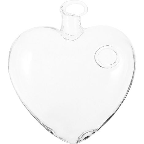 Pot de fleurs suspendu en verre borosilicate forme cœur, vase pour plantes hydroponiques (1/5)