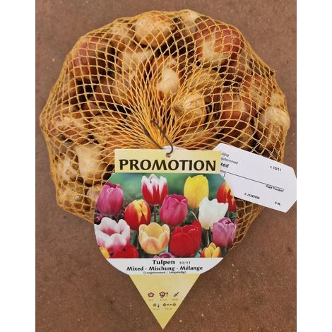 OFFERTA 70 BULBI TULIPANO MULTIFIORI MIX DI COLORI