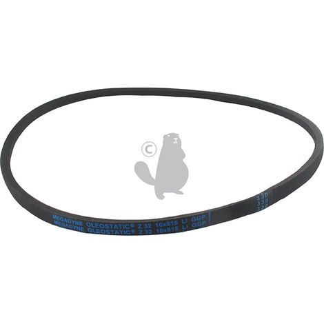 Vite - GGP - 135064150/0