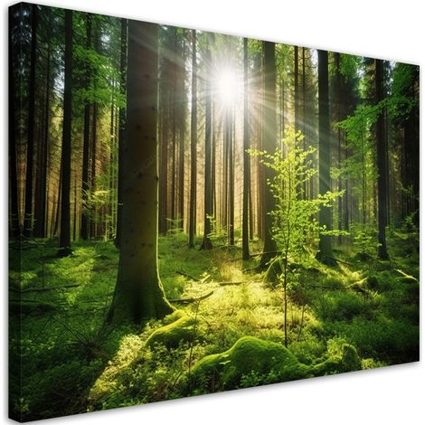 Tableau sur toile Arbres de la forêt Nature 90x60 (1/5)