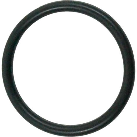 Pentair – Joint torique bypass pour compteur Fleck 5600/5800 – Diamètre extérieur 50mm – Diamètre intérieur 40mm – Vendu à l'unité