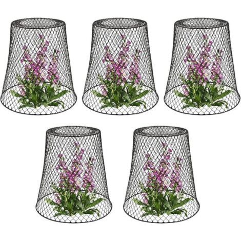Tuteur pour végétaux, Cloche de protection pour plantes en métal - Lot de 5, Noir (1/5)