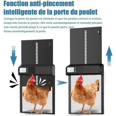 Nuova porta automatica per pollaio, porta intelligente in metallo 3.0 per pollaio, porta per animali in metallo con timer, adatta per polli, anatre, piccioni, ecc. (Nero) (1/3)