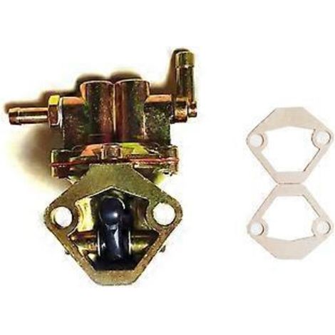 Pompe d'alimentation en carburant 2101-1106010 4102819 pour Niva Riva (1/5)