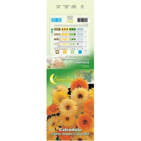 10 x SEMI GARDEN CALENDULA