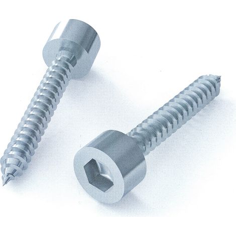 Vite autofilettante tc esagono incassato 4,8x22 mm conf. da 500 pz