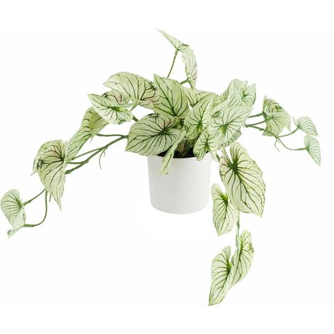 30cm Artificial Trailing Plant Variegated Potted Alocasia (1/3)