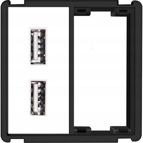 Module USB mural 2x 2,4 A pour système RTX SH