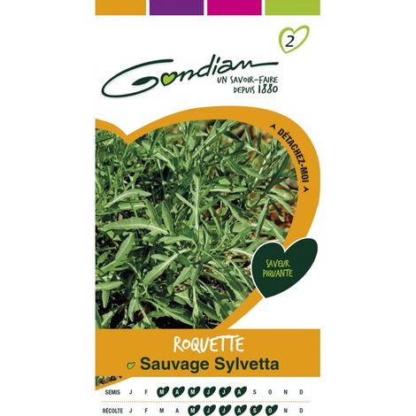 Gondian - Roquette Sauvage Sylvetta (1/3)
