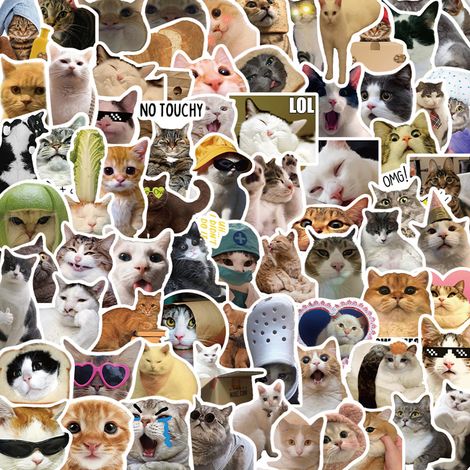 100 stickers chat drôle autocollants vinyl imperméables pour scrapbooking journaling ordinateur portable pare-chocs planche à roulettes gourde téléphone portable casque dur voiture déco adhésifs migno (1/5)