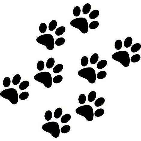 Autocollants en Vinyle Motif Pattes de Chat/Chien (1/4)