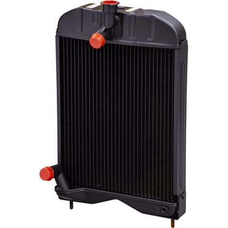 Radiador 1660499M92N UNIVERSAL 1660499M92N (1/3)