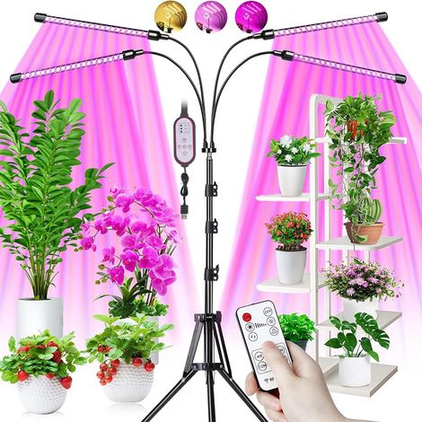 Lampe horticole LED, 80 LED, spectre complet 3000K/5000K, avec minuterie, idéale pour les plantes d'intérieur. (1/3)