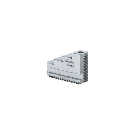 Mascelle monopezzo Röhm, dimensione 315, set da 3 griffe, temprate, dentatura dritta - 463558 (1/5)