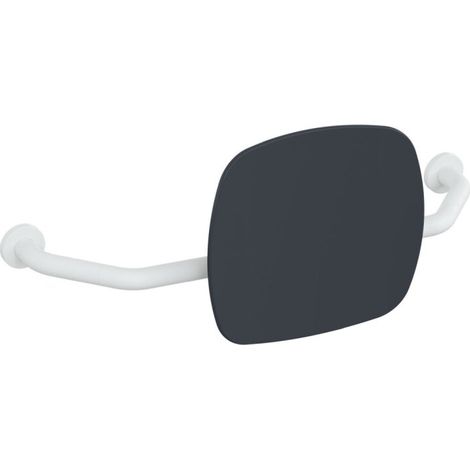 HEWI 801.51B9172 98 Appui-dos Couleur 92 EM, WA 230 mm (1/2)