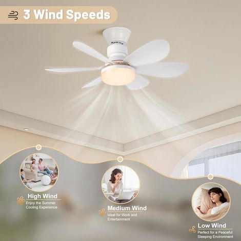 Ventilateur avec télécommande Lumière et contrôle - - (1/5)