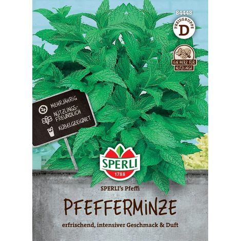 Sperli – Menthe poivrée Pfeffi – Graines d'herbes aromatiques, vivace, hauteur env. 50 cm, pour env. 50 plantes (1/2)