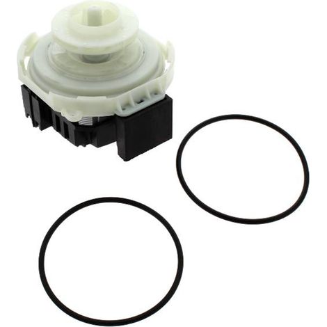 Elettropompa BLAC9/6 220/240V + guarniz.