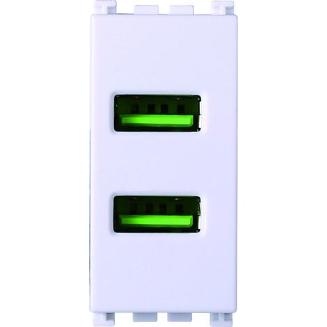 ETTROIT USB-Buchse, USB-Ladegerät, 5 V, 2,1 A, 2 USB-A-Anschlüsse, Farbe Weiß, kompatibel mit Vimar Arke VA2402B