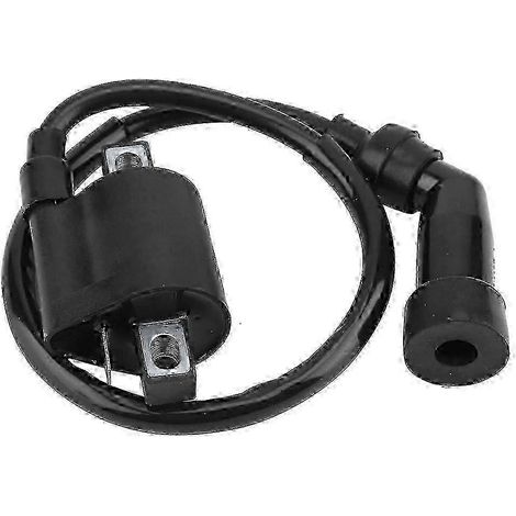 Bobine d'allumage 2026 compatible avec KODIAK 400 YFM400 1999-2006 - Yvan (1/4)