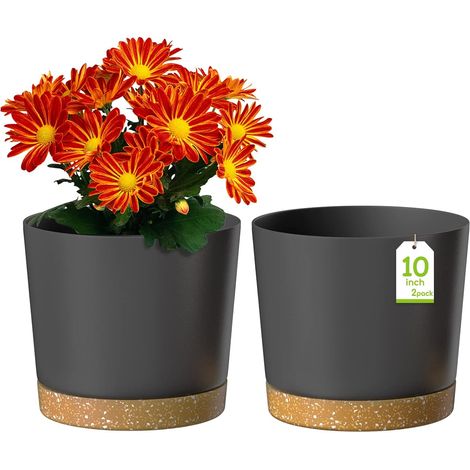 Pots De Fleurs - Lot De 2 - Plastique - Drainage Et Soucoupe - Intérieur Et Jardin - 25cm Gris Foncé (1/5)