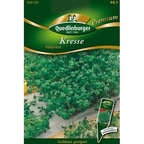 Quedlinburger Saatgut – Cresson alénois « Polycress » – Graines d'herbes aromatiques, goût piquant, semis toute l'année à l'intérieur (1/2)