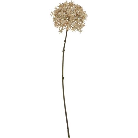 Coffee Allium Stems Artificial Flowers - Plastic - H63 cm