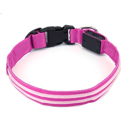 Collier Led Pour Chien - Nylon Résistant Et Rechargeable - Modes Lumineux Pour Sécurité Nocturne - Taille Ajustable (1/5)