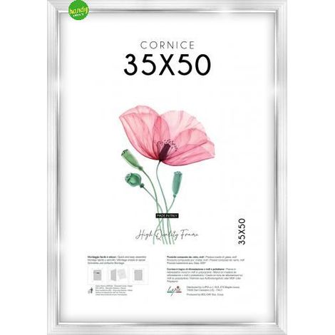 Cornice Lupia WHite Silver 35x50cm