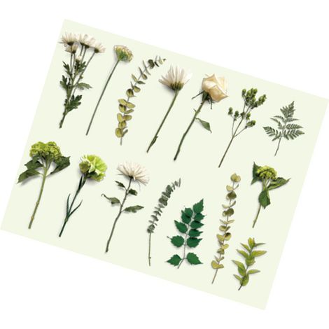 30 autocollants vintage de plantes, fleurs et feuilles, style rétro, pour ordinateur portable, scrapbooking, journal, agenda et création de cartes. Thème : brume de montagne. (1/5)