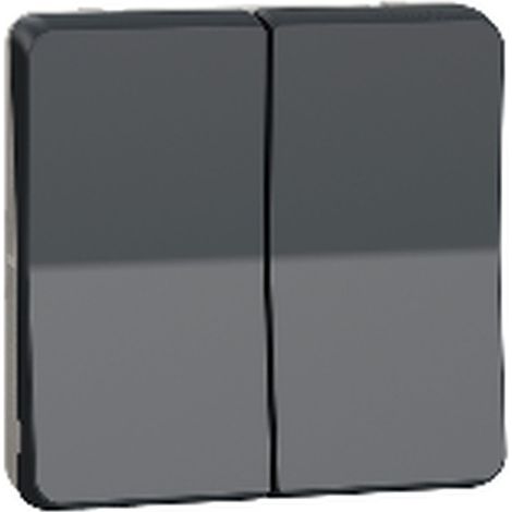 Schneider MUR35042 Mureva Styl – Drucktaster für Rollläden – kombinierbar – IP55 – IK07 – grau