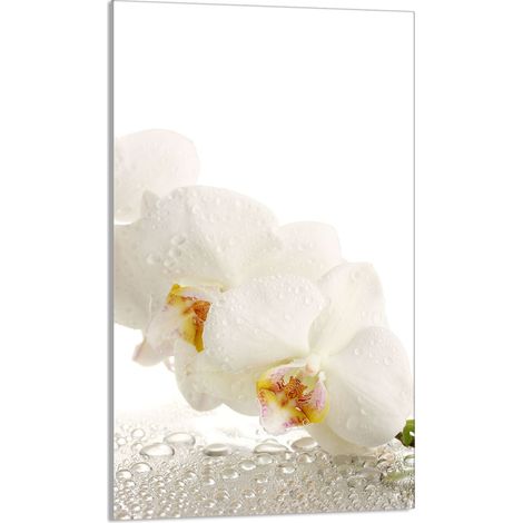 Glasschneidebrett 30x52 Orchidee (1/5)