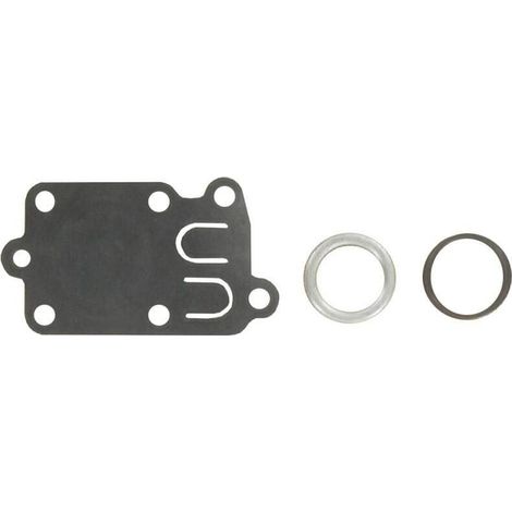 Kit membrane, ressort et joint BRIGGS ET STRATTON 270026 (1/3)