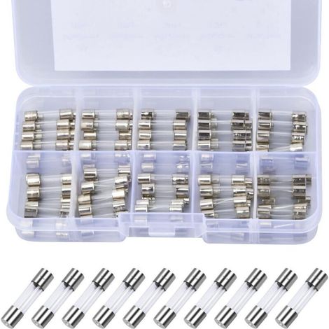 100 Pcs Fusible Verre à Fusion Rapide, 5 x 20mm 250V Assortiment de Fusibles Verre 0.2A, 0.5A, 1A, 2A, 3A, 5A, 8A, 10A, 15A, 20A, Fusibles Verre Coup Rapide pour Maison Électroménager (1/4)