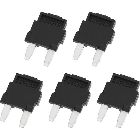 Lot de 5 Mini-fusibles Diodes 12182137 pour Circuit de Climatisation Automobile 21 X 14 Mm (1/5)