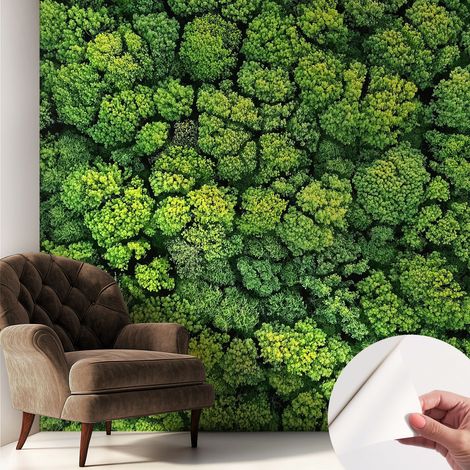 Papier peint autocollant adhésif avec imprimé motifs uniques apparence moderne Panorama forestier 250x250 cm (1/5)