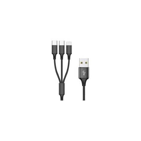 Câble multifonction USB vers Type-C + Micro USB 3 en 1, idéal pour les déplacements - 200 cm