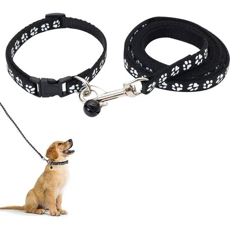 Ensemble collier et laisse pour petit chien, collier et laisse réglables, collier et laisse pour animaux de compagnie, pour petits chiens (1/5)