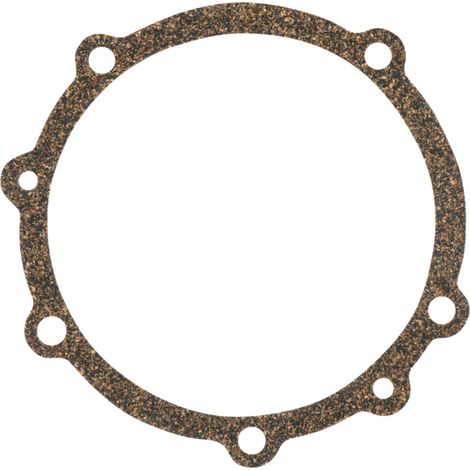 Guarnizione della pompa di iniezione da 1,32 mm per FORD 87801854