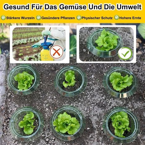 10 Stück Gartenschneckenschutz Schneckenring Schneckenkragen Rund, verdickt Schutzhülle Grün, transparent Schneckenkragen Schneckenkragen für Pla (1/2)