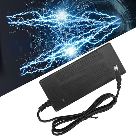 Chargeur portable réutilisable 2A adapté aux véhicules électriques de type skateboard (UE) (1/5)