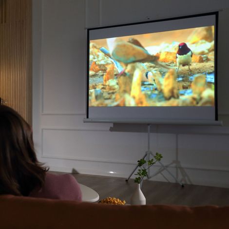 Écran de projecteur de 84 pouces 4K HD format 4:3 avec trépied pliable et hauteur réglable, écran de projection portable, angle large de 160 degrés, pour maison, home cinéma, extérieur, blanc (1/5)