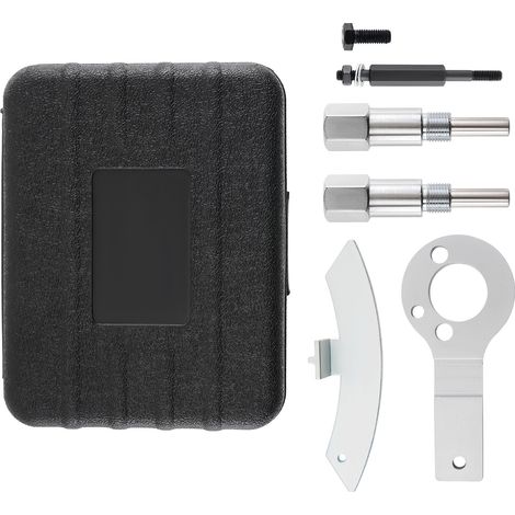 Camshaft Adjustment Tool for Fiat Doblo Sedici Strada 1.9 JTD EN46788/89