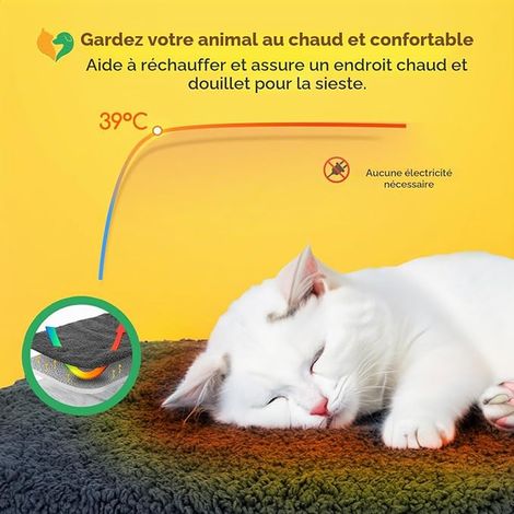 Couverture auto-chauffante pour chiens et chats Tapis thermique lavable antidérapant pour chiens et chats Gris 40 x 50 cm (1/4)
