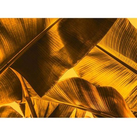 Papier peint panoramique tropical pour salon Tapisserie panoramique nature pour chambre Papier peint panoramique original motif feuille de bananier (1/4)