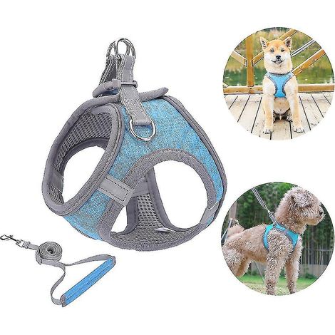 Harnais pour petit chien, harnais pour chiot, ensemble harnais et laisse souples avec collier réfléchissant - XXXS (1/3)