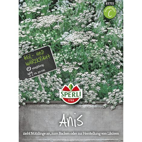Sperli – Anis – Graines d'aromatiques, annuel, hauteur env. 50 cm (1/2)