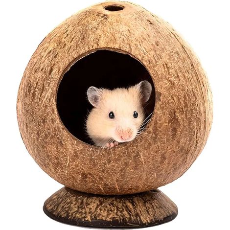 Maison pour hamster en noix de coco treize virgule cinq sur onze virgule neuf centimètres pour petit animal et oiseau