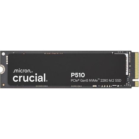 CRUCIAL - P510 - SSD interne - 1 To - PCIe Gen4 NVMe M.2 - Vitesse lecture jusqu'a 11000 Mo/s - CT1000P510SSD8 (1/5)