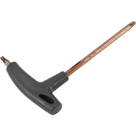 Clé Pour Démonter Disque D'Un Vélo,Clé Torx,Clé Torx T25,Clé T25,Clé À Poignée En T,Clé À Douille À Poignée En T De Disque De Frein De Vélo Outil De Réparation (1/5)